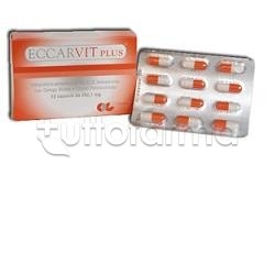 Eccarvit Plus per Circolazione 12 Capsule