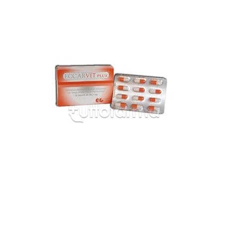 Eccarvit Plus per Circolazione 12 Capsule Eccarvit Plus per Circolazione 12 Capsule