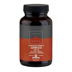 Terranova Gingko... Terranova Gingko...
