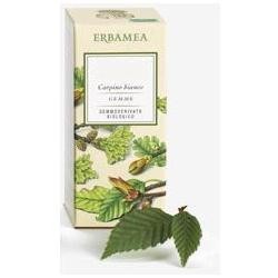 Erbamea Ribes Nigrum... Erbamea Ribes Nigrum...