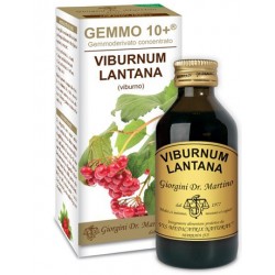 Dr.Giorgini Viburno Gemmo 10+ Integratore per Vie Respiratorie 100ml Dr.Giorgini Viburno Gemmo 10+ Integratore per Vie Respiratorie 100ml