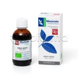 Fitomedical Ribes Nero Bio Tintura Madre 50ml Fitomedical Ribes Nero Bio Tintura Madre 50ml