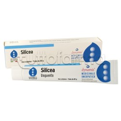 HomeoPharm Silicea Unguento Omeopatico 40g