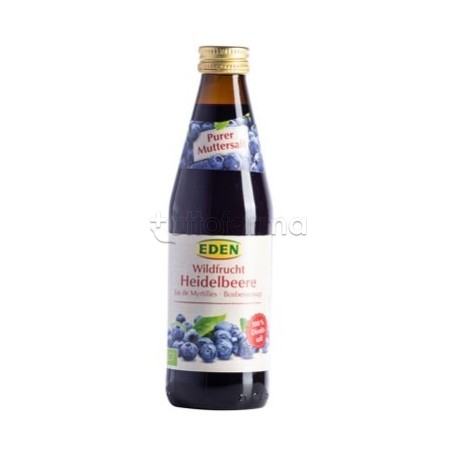 Succo Madre Mirtillo Bio per Circolazione 330ml Succo Madre Mirtillo Bio per Circolazione 330ml