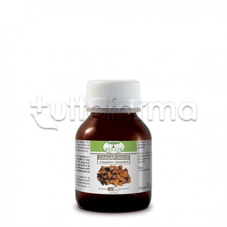 Renaco Chagafungus Integratore per Sistema Immunitario 60 Capsule Renaco Chagafungus Integratore per Sistema Immunitario 60 Capsule