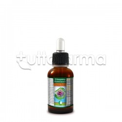 Renaco Citoyang Echinacea Integratore Sistema Immunitario Gocce 50ml Renaco Citoyang Echinacea Integratore Sistema Immunitario Gocce 50ml