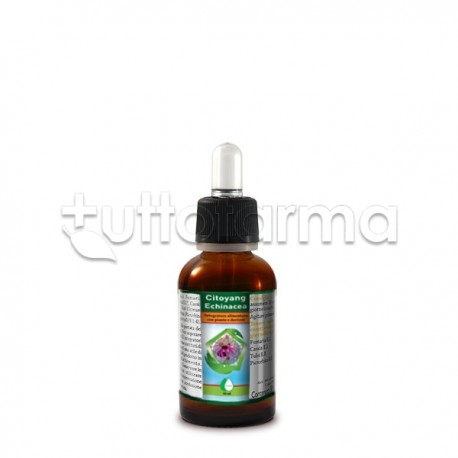 Renaco Citoyang Echinacea Integratore Sistema Immunitario Gocce 50ml Renaco Citoyang Echinacea Integratore Sistema Immunitario Gocce 50ml