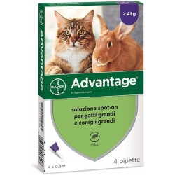 Advantage Antiparassitario Spot-On 0,8ml Veterinario per Gatti e Conigli 4 Pipette