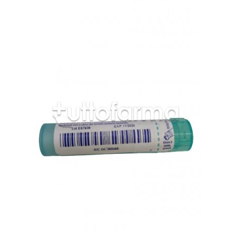 Boiron Sulfur 6CH Granuli Omeopatici Tubo Boiron Sulfur 6CH Granuli Omeopatici Tubo