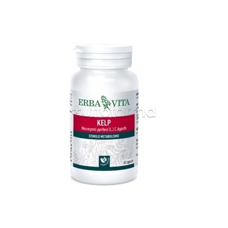 Erba Vita Kelp Integratore per Benessere 60 Capsule Erba Vita Kelp Integratore per Benessere 60 Capsule