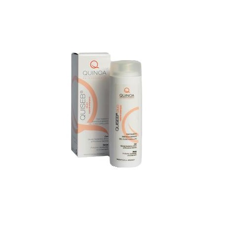 Quiseb Duo Lozione Shampoo per Capelli Grassi 200ml