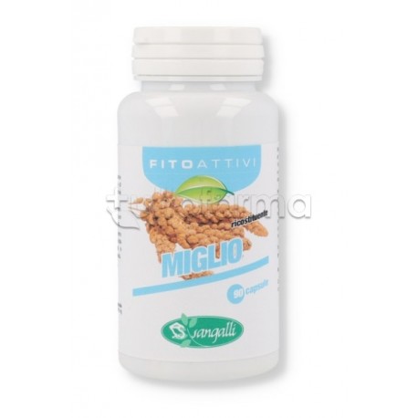 Fitoattivi Miglio Integratore per Ossa 90 Capsule Fitoattivi Miglio Integratore per Ossa 90 Capsule