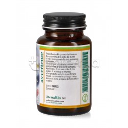Nac N Acetilcisteina Integratore Antiossidante 60 Capsule Nac N Acetilcisteina Integratore Antiossidante 60 Capsule