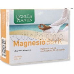 Magnesio B6 + K Integratore per Difese Immunitarie 60 Capsule Magnesio B6 + K Integratore per Difese Immunitarie 60 Capsule