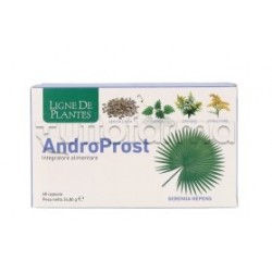 Androprost Integratore per Prostata 60 Capsule Androprost Integratore per Prostata 60 Capsule