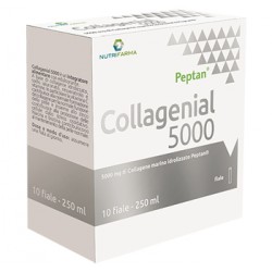 Collagenial 5000 Integratore per la Pelle 10 Fiale Collagenial 5000 Integratore per la Pelle 10 Fiale