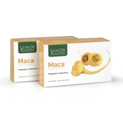 Natura Service Maca Integratore per Stanchezza 60 Capsule Natura Service Maca Integratore per Stanchezza 60 Capsule