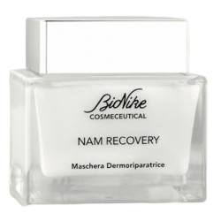 Bionike Cosmeceutical Nam Recovery Maschera Riparatrice Emolliente Post Peeling 50ml Bionike Cosmeceutical Nam Recovery Maschera Riparatrice Emolliente Post Peeling 50ml