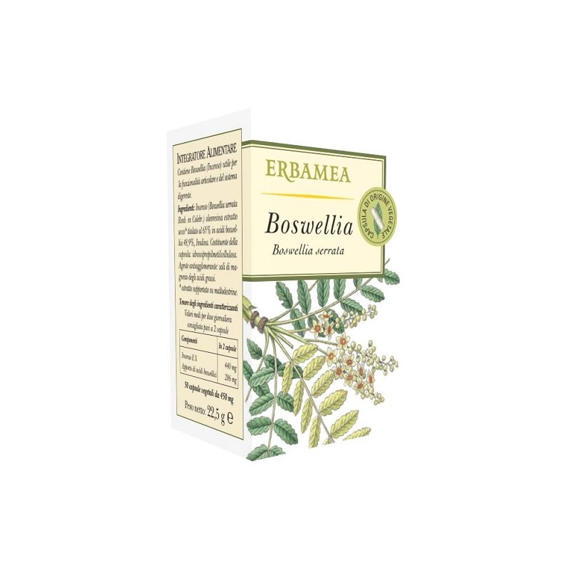 Boswellia Integratore per la Digestione 50 Opercoli Boswellia Integratore per la Digestione 50 Opercoli