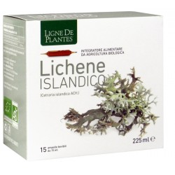 Ligne De Plantes Lichene Islandico Integratore per Vie Respiratorie 15 Ampolle Ligne De Plantes Lichene Islandico Integratore per Vie Respiratorie 15 Ampolle