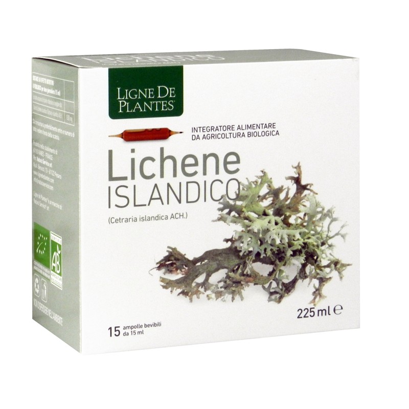 Ligne De Plantes Lichene Islandico Integratore per Vie Respiratorie 15 Ampolle Ligne De Plantes Lichene Islandico Integratore per Vie Respiratorie 15 Ampolle