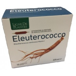 Eleuterococco Bio Integratore per la Memoria 15 Ampolle Eleuterococco Bio Integratore per la Memoria 15 Ampolle