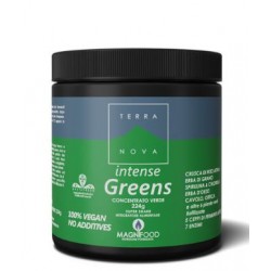 Terranova Super Shake Intense Greens Integratore Detox 224g Terranova Super Shake Intense Greens Integratore Detox 224g