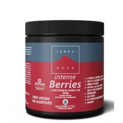 Terranova Super Shake Intense Berries Integratore Benessere Cardiovascolare 224g Terranova Super Shake Intense Berries Integratore Benessere Cardiovascolare 224g