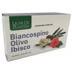 Nature Service Biancospino Integratore per Circolazione 60 Capsule Nature Service Biancospino Integratore per Circolazione 60 Capsule