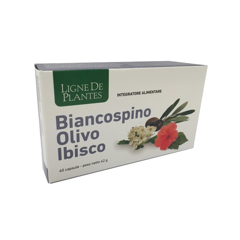 Nature Service Biancospino Integratore per Circolazione 60 Capsule Nature Service Biancospino Integratore per Circolazione 60 Capsule