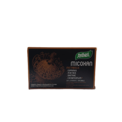 Santiveri Micoxan Metabolic Integratore per Circolazione 40 Capsule Santiveri Micoxan Metabolic Integratore per Circolazione 40 Capsule