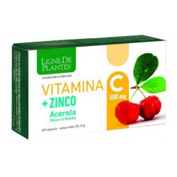 Vitamina C + Zinco Acerola Integratore Energizzante 60 Capsule Vitamina C + Zinco Acerola Integratore Energizzante 60 Capsule