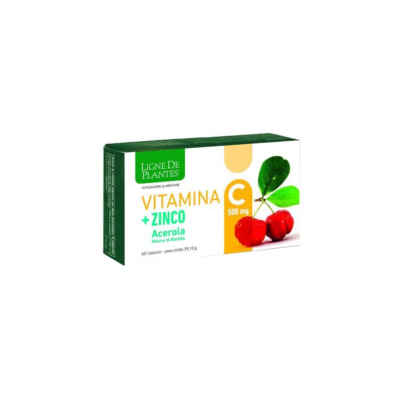 Vitamina C + Zinco Acerola Integratore Energizzante 60 Capsule Vitamina C + Zinco Acerola Integratore Energizzante 60 Capsule