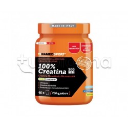 Named Sport 100% Creatina Polvere 500 g