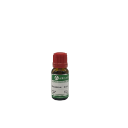 PHOSPHORUS 6LM 10ML GTT PHOSPHORUS 6LM 10ML GTT