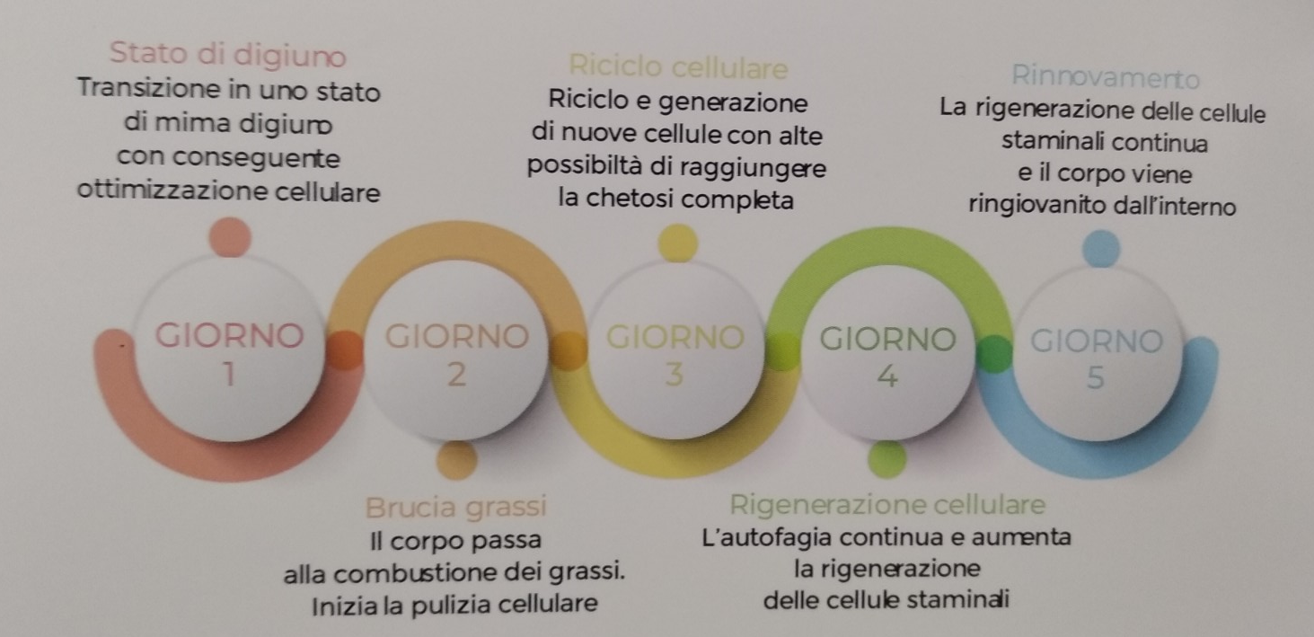 I benefici della dieta Prolon
