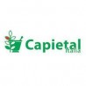 Capital Italia