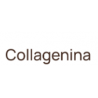 Collagenina
