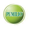 Pumilio
