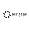 Aurigane