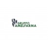 GRUPPO AMELFARMA