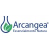 Arcangea