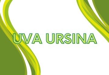 Uva Ursina: un alleato naturale Contro la Cistite e i Disturbi Urinari