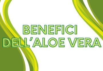 Gli effetti benefici dell’Aloe Vera