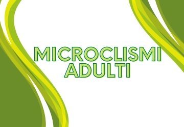 Quali sono i migliori microclismi per adulti?