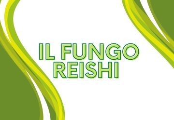 Fungo Reishi: Storia, Proprietà e Consigli d'Uso per Integratori Naturali
