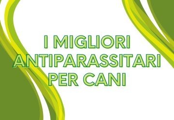 Antiparassitari per cani - Applicazioni e consigli