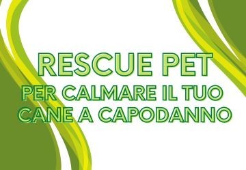 Come calmare  il cane durante i botti di capodanno con Rescue Pet