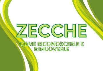 Zecche nel Cane e nel Gatto: Rimozione e Prevenzione