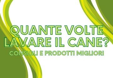 Quante volte lavare il cane? Consigli e Prodotti Migliori